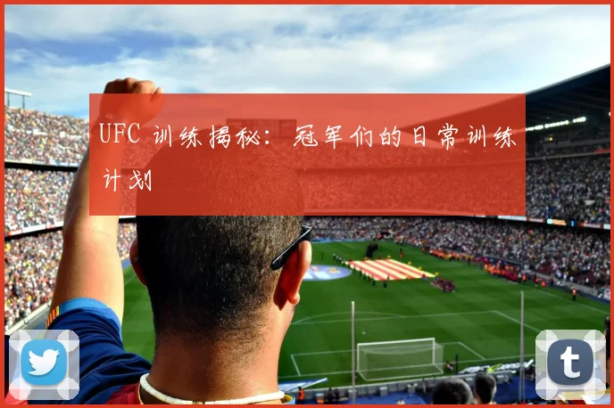 UFC 训练揭秘：冠军们的日常训练计划