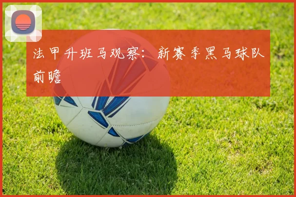 法甲升班马观察:新赛季黑马球队前瞻