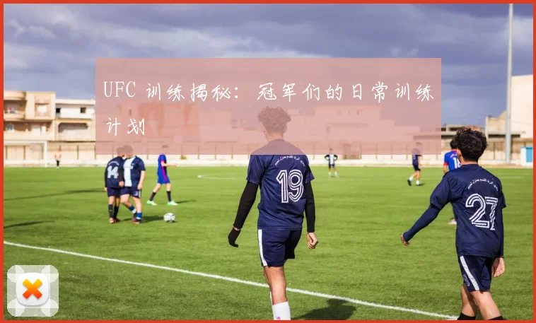 UFC 训练揭秘:冠军们的日常训练计划