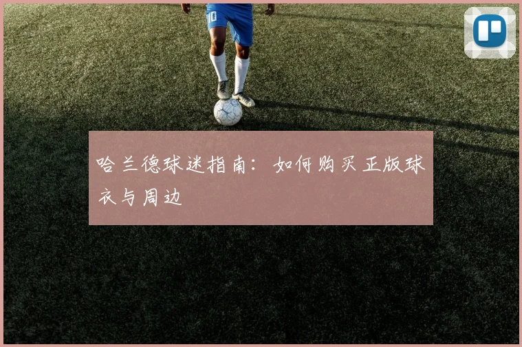 哈兰德球迷指南：如何购买正版球衣与周边