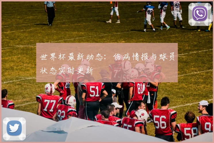 世界杯最新动态:伤病情报与球员状态实时更新